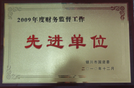 2009年度财务监督工作先进单位