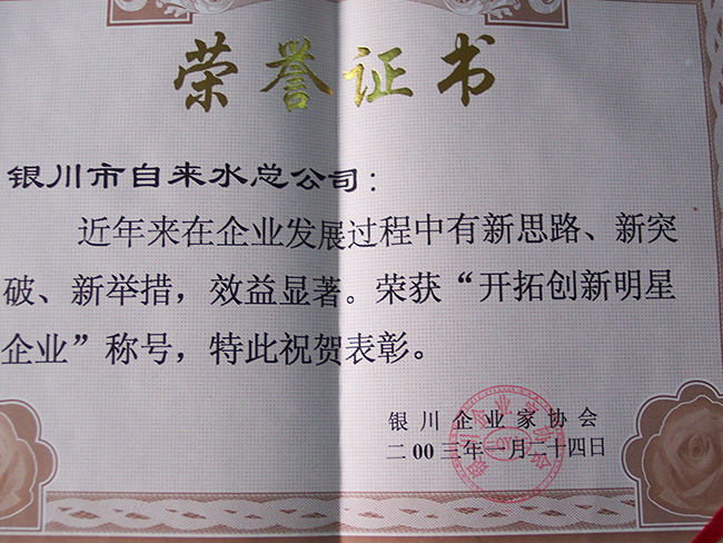 2003年银川企业家协会“开拓创新明星企业”称号
